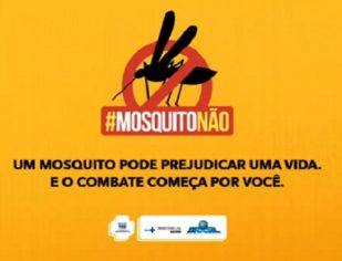 357 municípios do país apresentam risco para dengue, zika e chikungunya