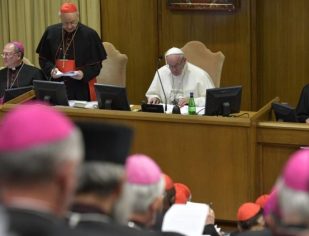 Papa Francisco: o Sínodo é um momento de partilha