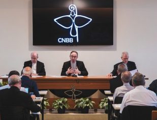 Bispos realizam preparação do tema central para a 57ª Assembleia Geral da CNBB